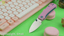 CIVIVI Baby Banter Thumb Stud Knife G10 Handle (2.34" Nitro-V Blade) C19068S-10