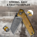 CIVIVI Amirite Flipper & Thumb Stud & Button Lock Knife Ultem Handle (3.48" Damascus Blade) C23028 - DS1 - CIVIVI