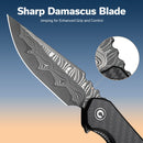 CIVIVI Bluetick Flipper Knife Carbon Fiber Overlay On Black G10 Handle (3.47" Damascus Blade) C23050 - DS2