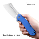 CIVIVI Bullmastiff Flipper Knife G10 Handle (3.83" 9Cr18MoV Blade) C2006B - CIVIVI