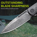 CIVIVI Caetus Flipper Knife Carbon Fiber Handle (3.48" Damascus Blade) C21025C - DS1 - CIVIVI