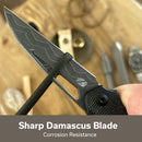 CIVIVI Guile Front Flipper & Thumb Hole Knife Micarta Handle (3.25" Damascus Blade) C24062B - DS1