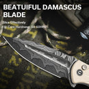 CIVIVI Incindie Flipper & Button Lock Knife G10 Handle (3.48" Damascus Blade) C23053 - DS1 - CIVIVI
