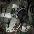 CIVIVI Midwatch Fixed Blade Knife Carbon Fiber Handle (3.39" Damascus Blade) C20059B - DS1 - CIVIVI