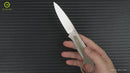 CIVIVI Varius Fixed Blade Knife G10 Handle (3.75" D2 Live Blade) C22009D-1