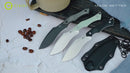 CIVIVI Vaquita II Fixed Blade Knife Micarta Handle (3.2" Nitro-V Blade) C047C-3