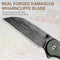CIVIVI Elementum Flipper & Thumb Stud Knife Green Canvas Micarta Handle (2.97" Black Hand Rubbed Damascus Blade) C18062AF-DS1