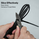 CIVIVI Mini Elementum Fixed Blade Knife Micarta Handle (2.24" Damascus Blade) C23010-DS1