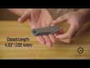 CIVIVI Elementum Flipper Knife Carbon Fiber Overlay On G10 Handle (2.96" Damascus Blade) C907DS, With No Free Gift